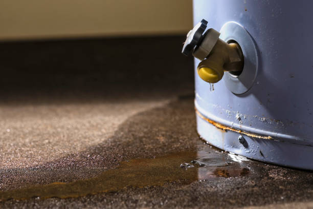 Best Water damage restoration near me  in Prince Frederick, MD