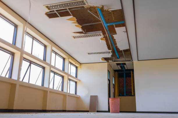 Best Mold removal after water damage  in Prince Frederick, MD