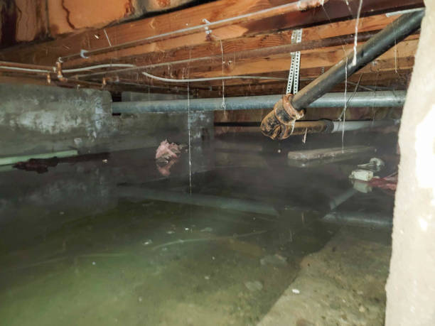 Best Fire Damage Restoration  in Prince Frederick, MD
