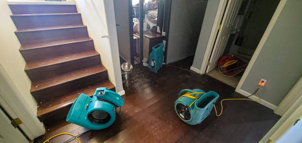 Best Ceiling water damage repair  in Prince Frederick, MD