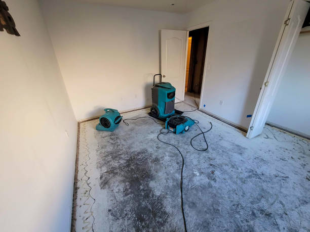 Best Sewage cleanup and water damage restoration  in Prince Frederick, MD