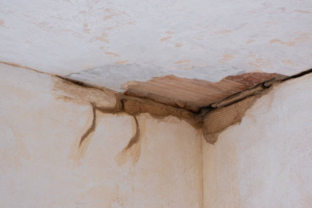 Best Flood restoration services  in Prince Frederick, MD