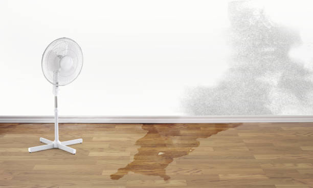 24/7 water damage repair in Prince Frederick, MD