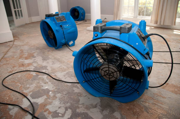 Best Water damage contractors near me  in Prince Frederick, MD