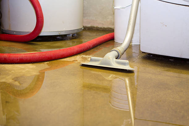 Best Flood damage cleanup  in Prince Frederick, MD