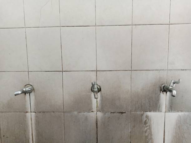 Best Professional water damage repair  in Prince Frederick, MD