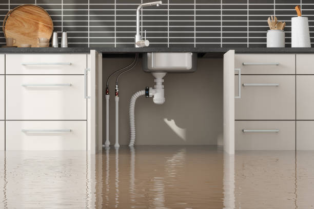 Best Sewage cleanup and water damage restoration  in Prince Frederick, MD