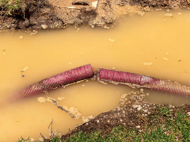  Prince Frederick, MD Water damage restoration Pros