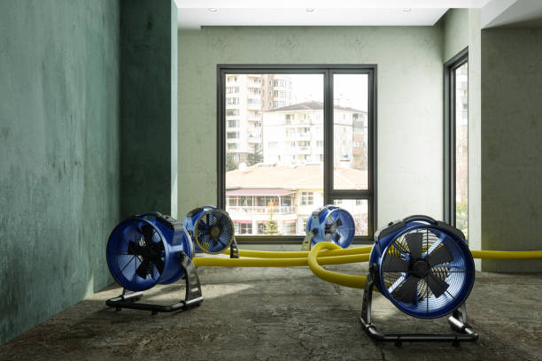 Best Water damage contractors near me  in Prince Frederick, MD